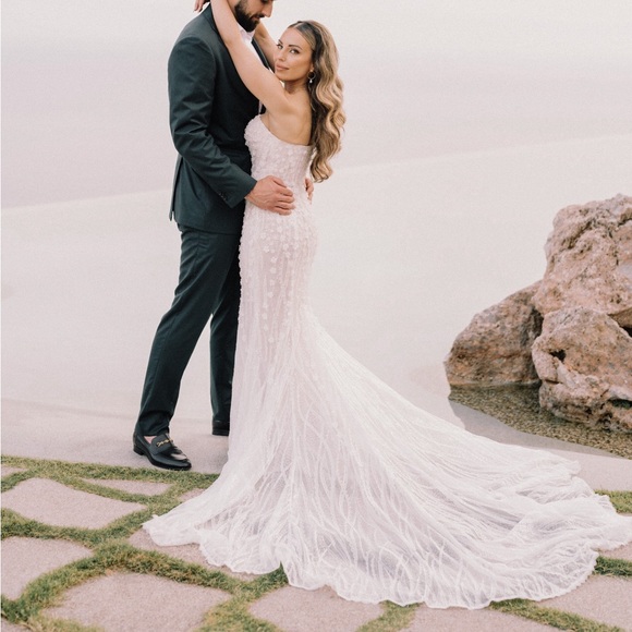 Dany Tabet Wedding Dress - Picture 5 of 6